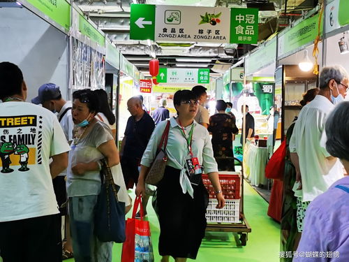 端午盛會綻放蓉城，西部地區最大節慶展會今日開幕，萬種商品引領消費熱潮